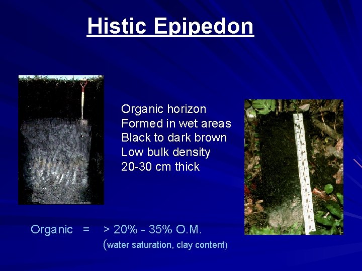 Histic Epipedon Organic horizon Formed in wet areas Black to dark brown Low bulk