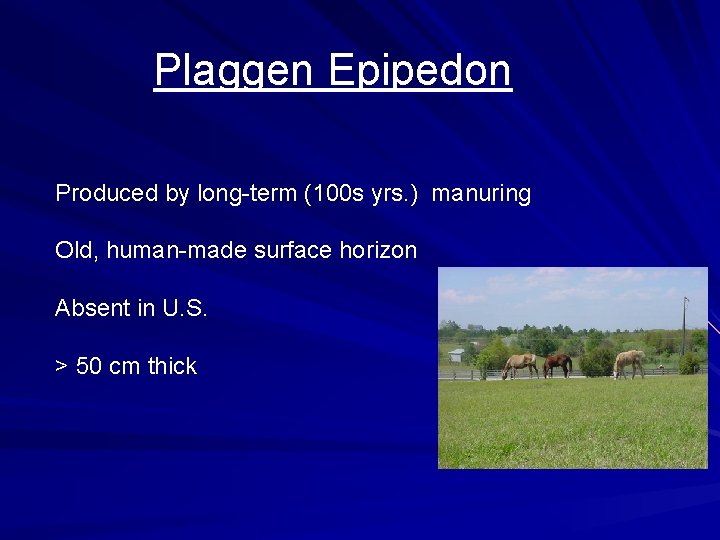 Plaggen Epipedon Produced by long-term (100 s yrs. ) manuring Old, human-made surface horizon