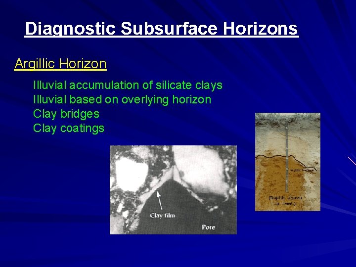 Diagnostic Subsurface Horizons Argillic Horizon Illuvial accumulation of silicate clays Illuvial based on overlying