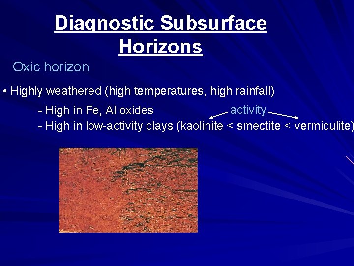 Diagnostic Subsurface Horizons Oxic horizon • Highly weathered (high temperatures, high rainfall) activity -