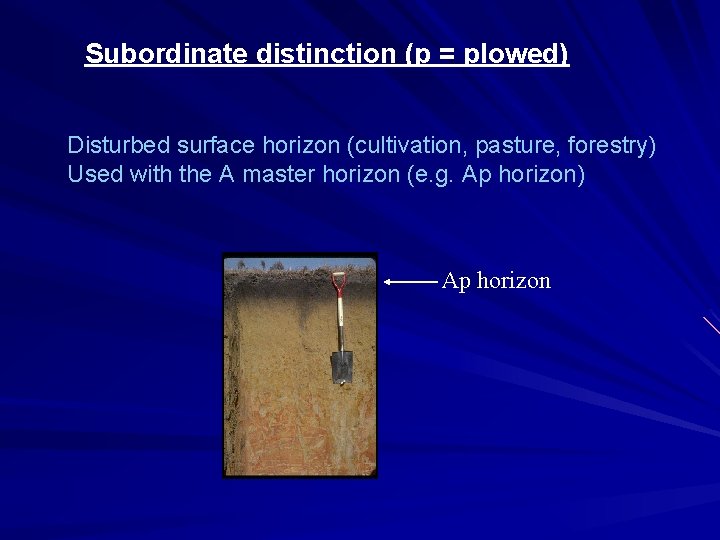 Subordinate distinction (p = plowed) Disturbed surface horizon (cultivation, pasture, forestry) Used with the