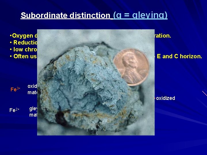 Subordinate distinction (g = gleying) • Oxygen deprived or reduced state due to water