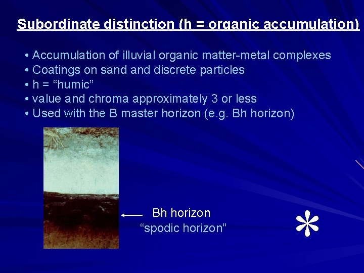 Subordinate distinction (h = organic accumulation) • Accumulation of illuvial organic matter-metal complexes •