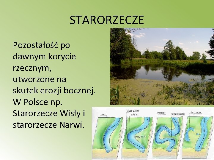 STARORZECZE Pozostałość po dawnym korycie rzecznym, utworzone na skutek erozji bocznej. W Polsce np.