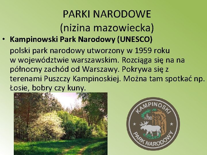 PARKI NARODOWE (nizina mazowiecka) • Kampinowski Park Narodowy (UNESCO) polski park narodowy utworzony w