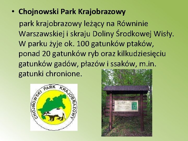  • Chojnowski Park Krajobrazowy park krajobrazowy leżący na Równinie Warszawskiej i skraju Doliny