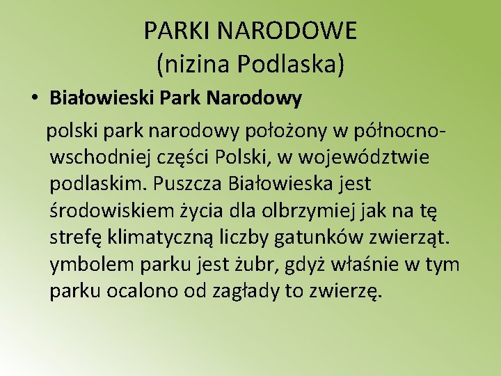 PARKI NARODOWE (nizina Podlaska) • Białowieski Park Narodowy polski park narodowy położony w północnowschodniej