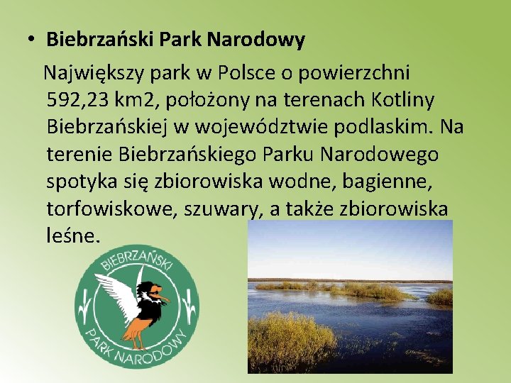  • Biebrzański Park Narodowy Największy park w Polsce o powierzchni 592, 23 km