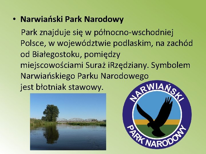  • Narwiański Park Narodowy Park znajduje się w północno-wschodniej Polsce, w województwie podlaskim,