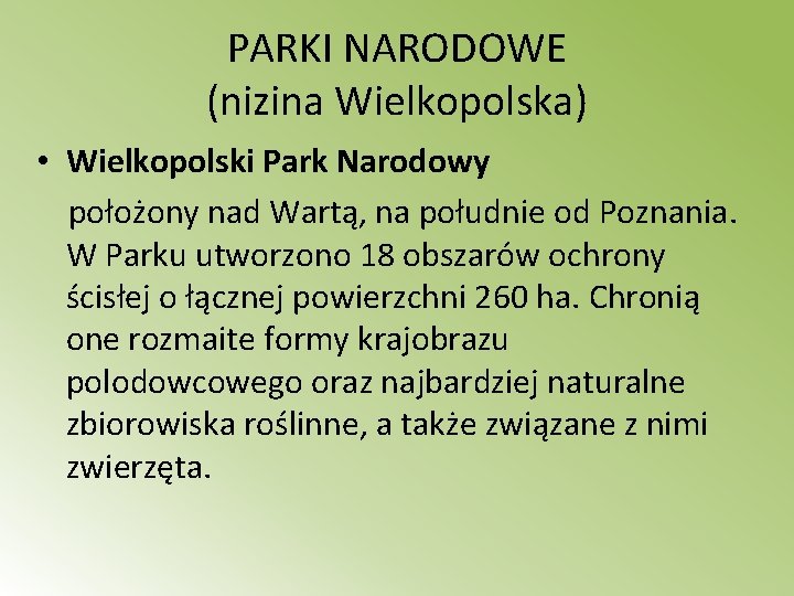 PARKI NARODOWE (nizina Wielkopolska) • Wielkopolski Park Narodowy położony nad Wartą, na południe od