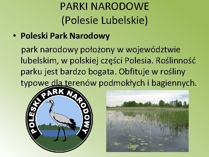 PARKI NARODOWE (Polesie Lubelskie) • Poleski Park Narodowy park narodowy położony w województwie lubelskim,
