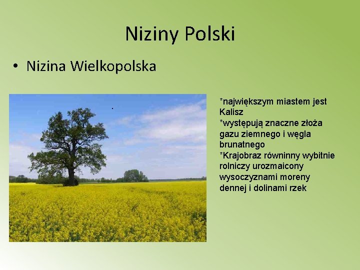 Niziny Polski • Nizina Wielkopolska • *największym miastem jest Kalisz *występują znaczne złoża gazu