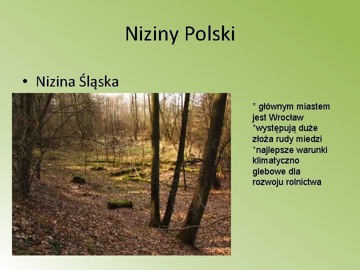 Niziny Polski • Nizina Śląska * głównym miastem jest Wrocław *występują duże złoża rudy