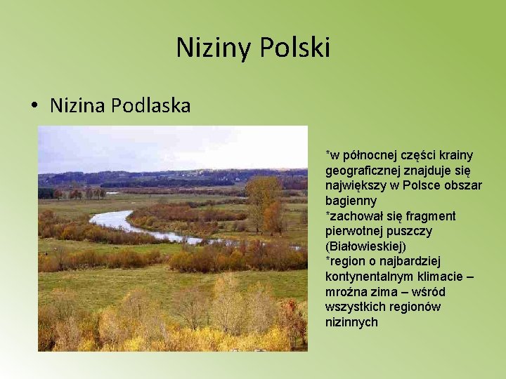 Niziny Polski • Nizina Podlaska *w północnej części krainy geograficznej znajduje się największy w