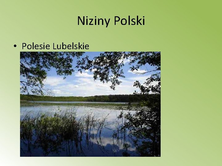 Niziny Polski • Polesie Lubelskie 