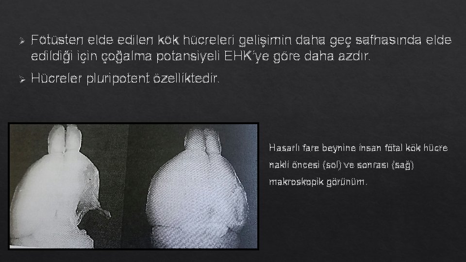 Ø Fötüsten elde edilen kök hücreleri gelişimin daha geç safhasında elde edildiği için çoğalma Ø Fötüsten elde edilen kök hücreleri gelişimin daha geç safhasında elde edildiği için çoğalma