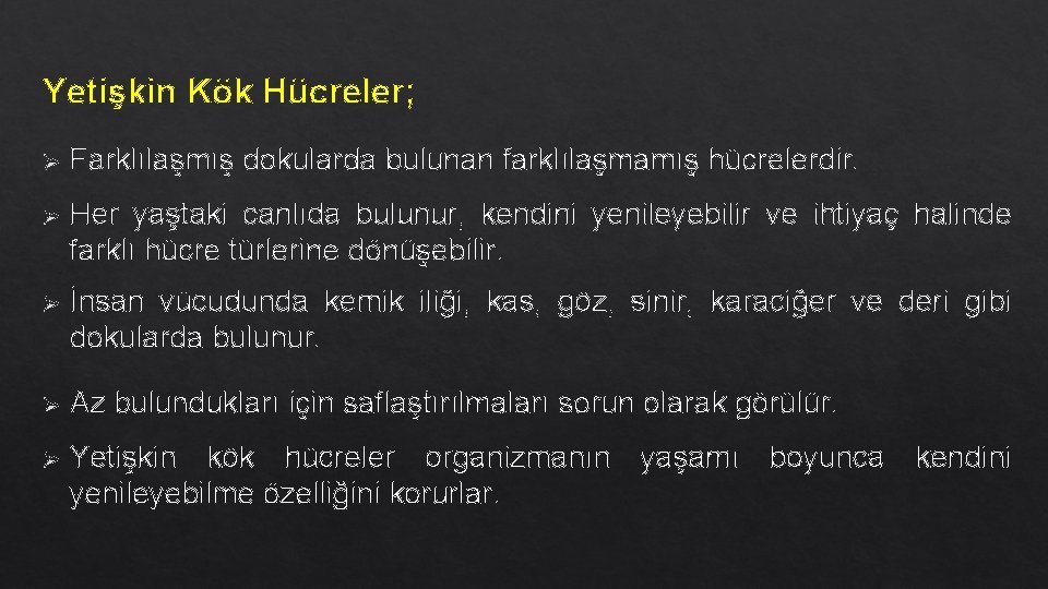 Yetişkin Kök Hücreler; Ø Farklılaşmış dokularda bulunan farklılaşmamış hücrelerdir. Ø Her yaştaki canlıda bulunur, Yetişkin Kök Hücreler; Ø Farklılaşmış dokularda bulunan farklılaşmamış hücrelerdir. Ø Her yaştaki canlıda bulunur,