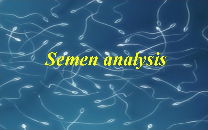 Semen analysis 