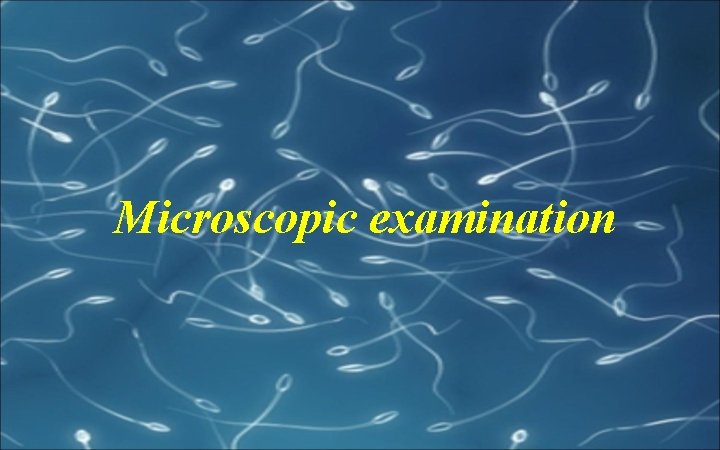 Microscopic examination 