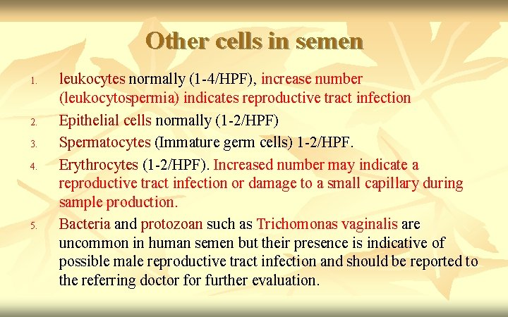 Other cells in semen 1. 2. 3. 4. 5. leukocytes normally (1 -4/HPF), increase
