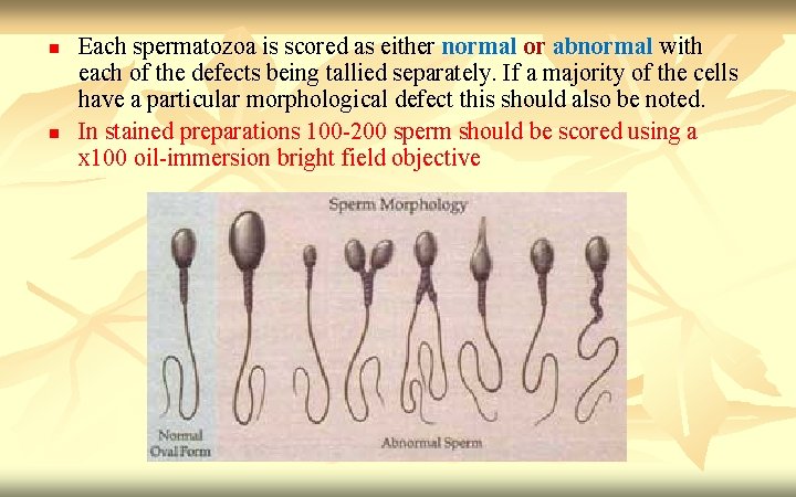 n n Each spermatozoa is scored as either normal or abnormal with each of