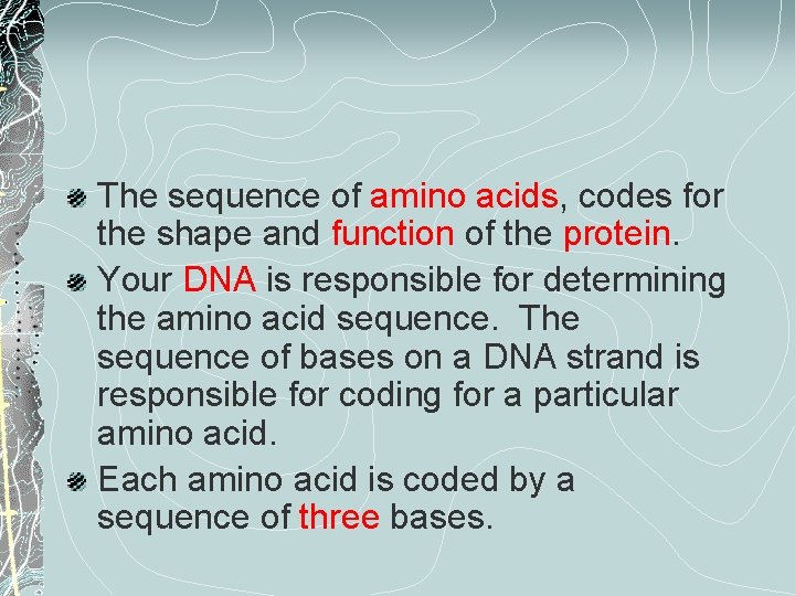 The sequence of amino acids, codes for the shape and function of the protein.