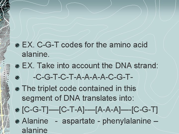 EX. C-G-T codes for the amino acid alanine. EX. Take into account the DNA