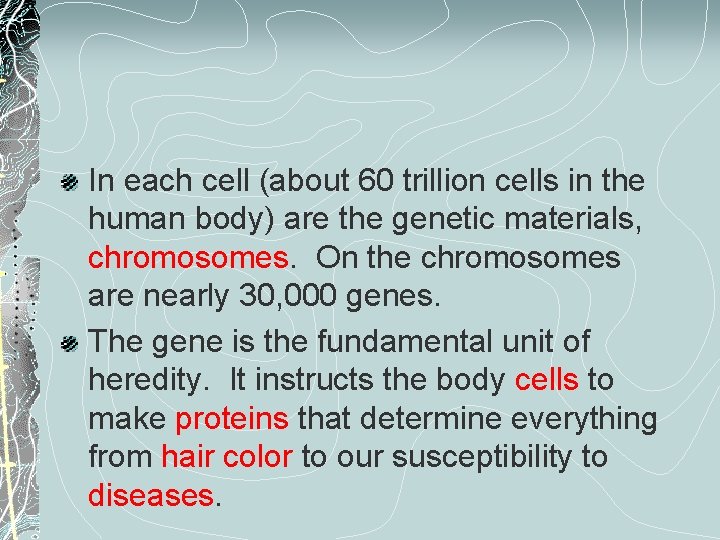 In each cell (about 60 trillion cells in the human body) are the genetic