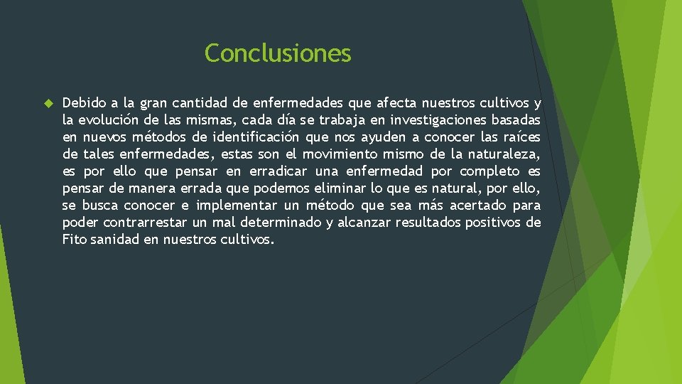 Conclusiones Debido a la gran cantidad de enfermedades que afecta nuestros cultivos y la