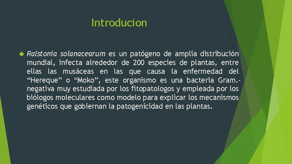 Introducion Ralstonia solanacearum es un patógeno de amplia distribución mundial, infecta alrededor de 200