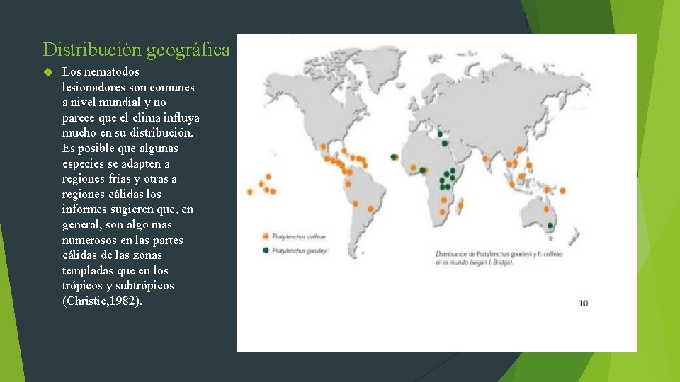 Distribución geográfica Los nematodos lesionadores son comunes a nivel mundial y no parece que
