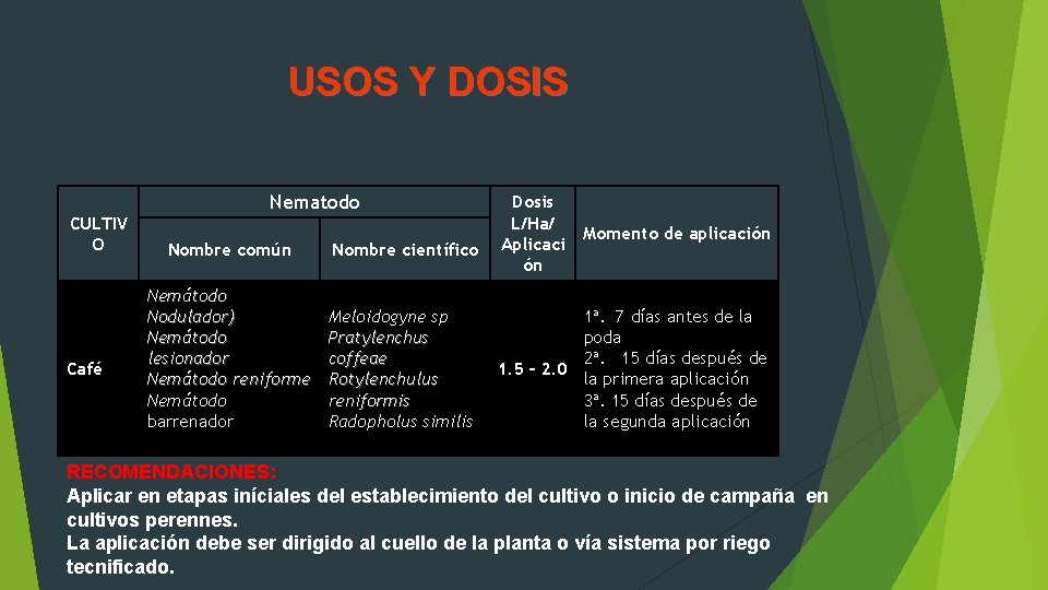 USOS Y DOSIS CULTIV O Café Nematodo Nombre común Nombre científico Nemátodo Nodulador) Nemátodo