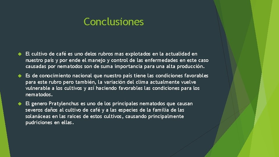 Conclusiones El cultivo de café es uno delos rubros mas explotados en la actualidad