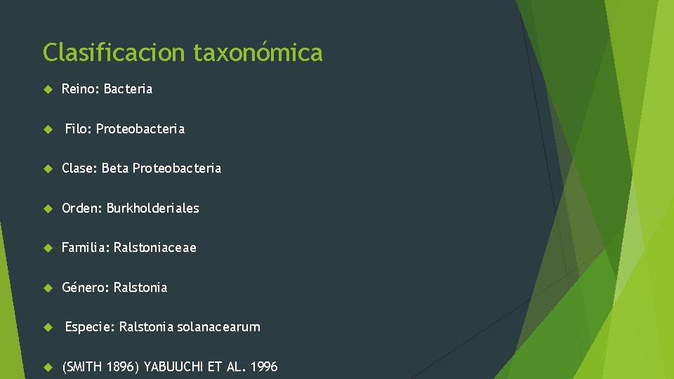 Clasificacion taxonómica Reino: Bacteria Filo: Proteobacteria Clase: Beta Proteobacteria Orden: Burkholderiales Familia: Ralstoniaceae Género: