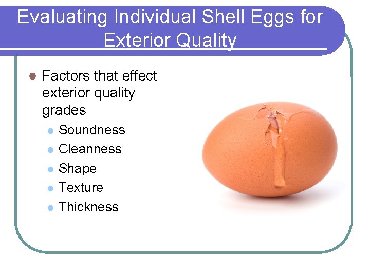 Evaluating Individual Shell Eggs for Exterior Quality l Factors that effect exterior quality grades