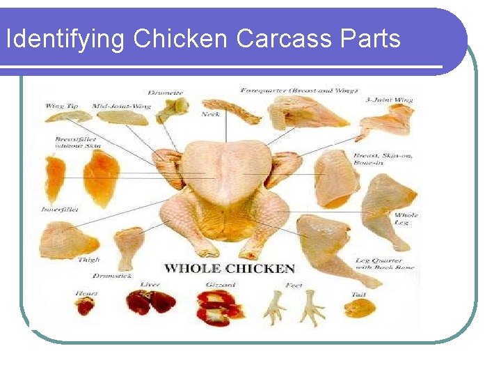 Identifying Chicken Carcass Parts 