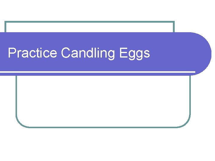 Practice Candling Eggs 