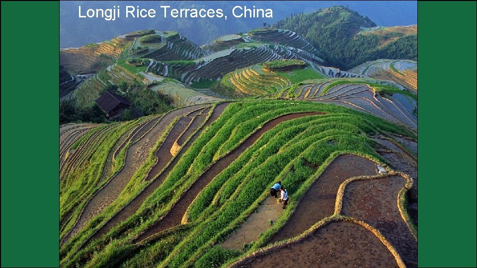 Longji Rice Terraces, China 