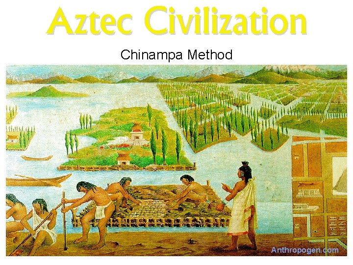 Aztec Civilization Chinampa Method MNN. com Anthropogen. com 