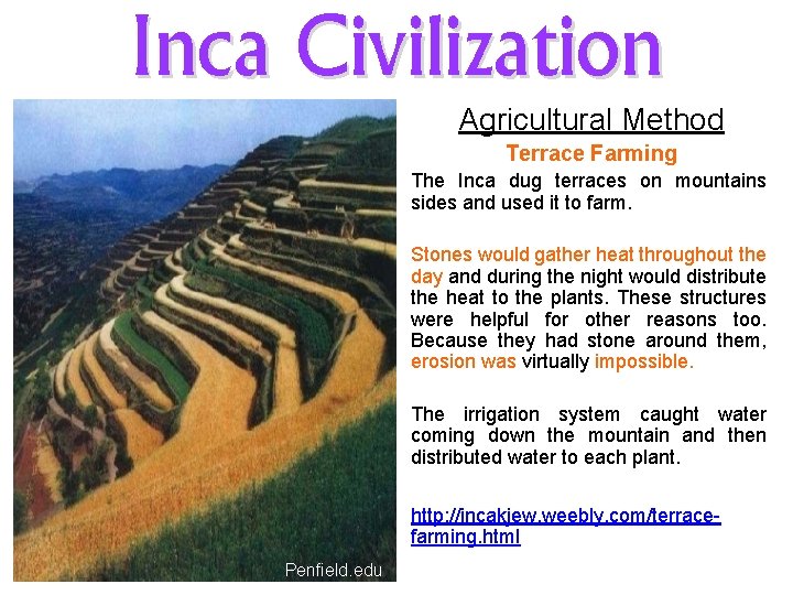 Inca Civilization Agricultural Method Terrace Farming The Inca dug terraces on mountains sides and