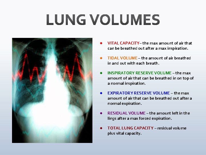 l VITAL CAPACITY– the max amount of air that can be breathed out after