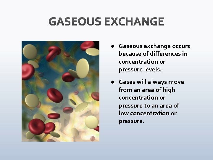 l Gaseous exchange occurs because of differences in concentration or pressure levels. l Gases