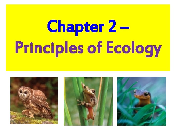 Chapter 2 – Principles of Ecology 