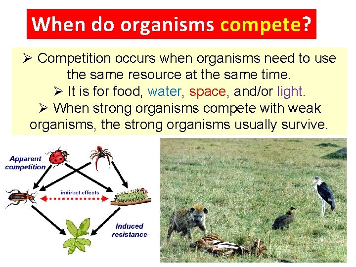 When do organisms compete? Ø Competition occurs when organisms need to use the same