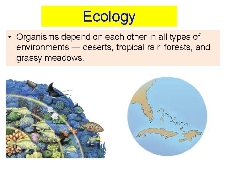 Ecology • Organisms depend on each other in all types of environments — deserts,