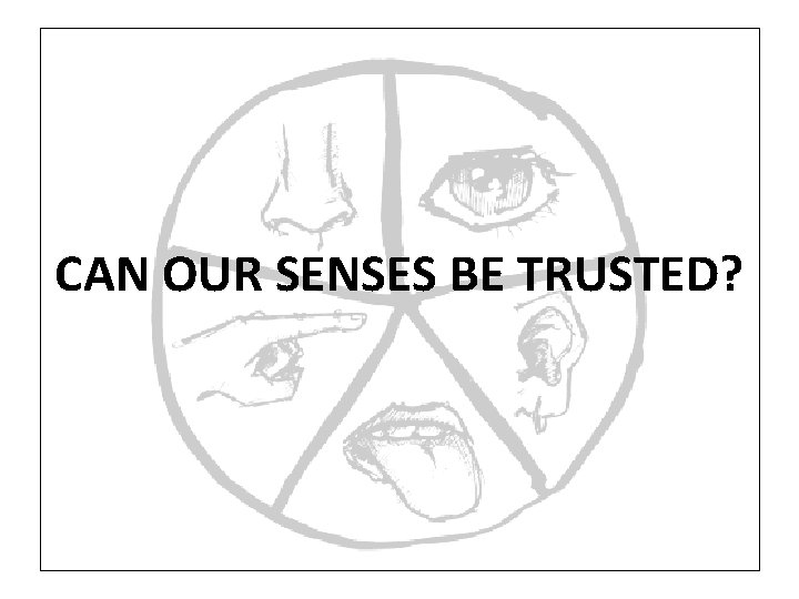 CAN OUR SENSES BE TRUSTED? 