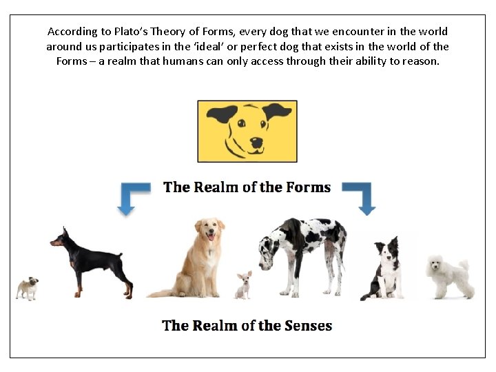 According to Plato’s Theory of Forms, every dog that we encounter in the world