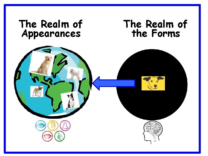 The Realm of Appearances The Realm of the Forms 