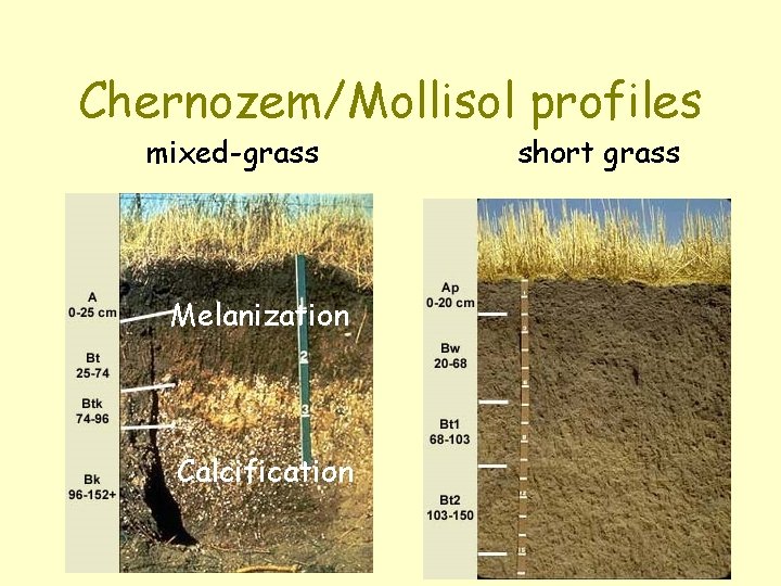 Chernozem/Mollisol profiles mixed-grass Melanization Calcification short grass 