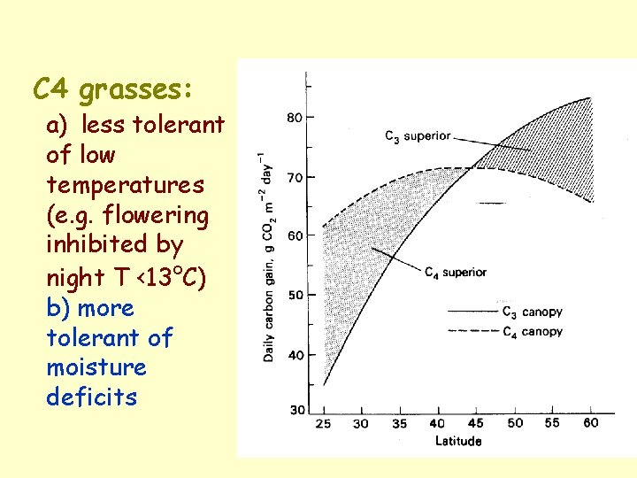 C 4 grasses: a) less tolerant of low temperatures (e. g. flowering inhibited by C 4 grasses: a) less tolerant of low temperatures (e. g. flowering inhibited by